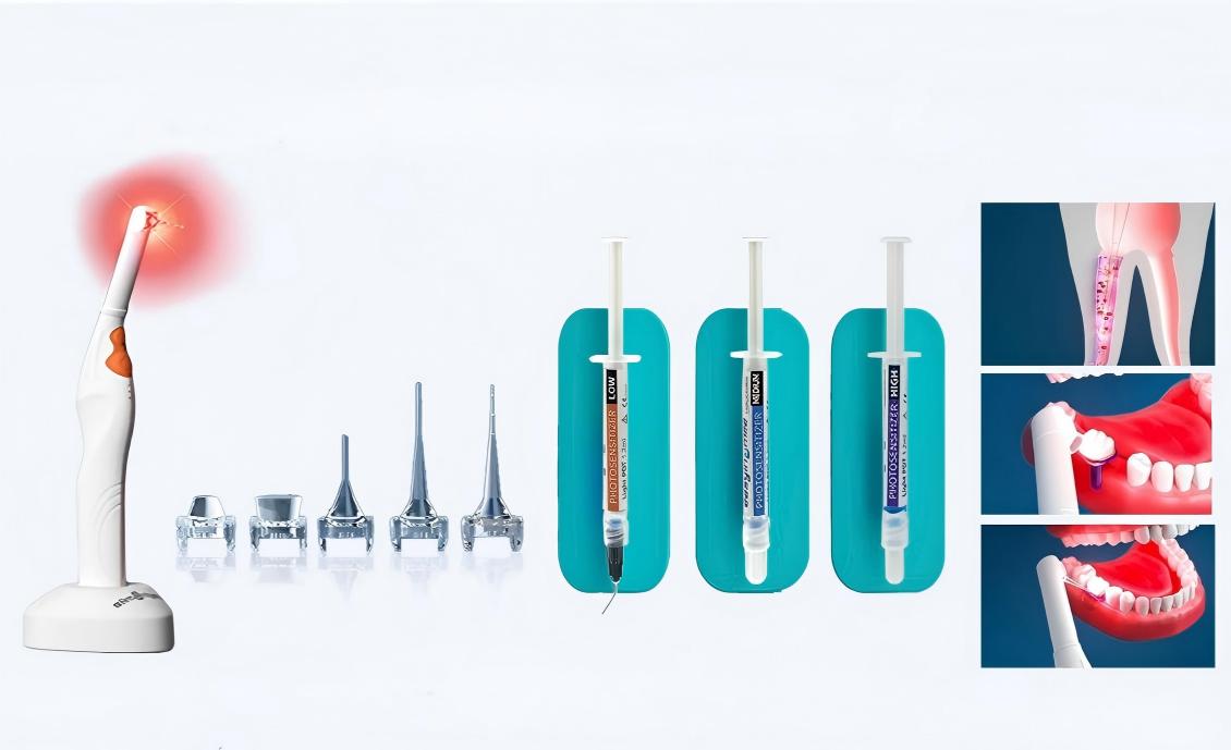 Light PDT 630 202602